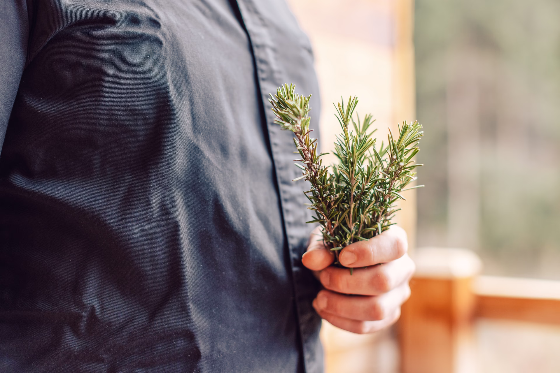 Gastgeber © Daniel Zangerl Gastgeber © Daniel Zangerl